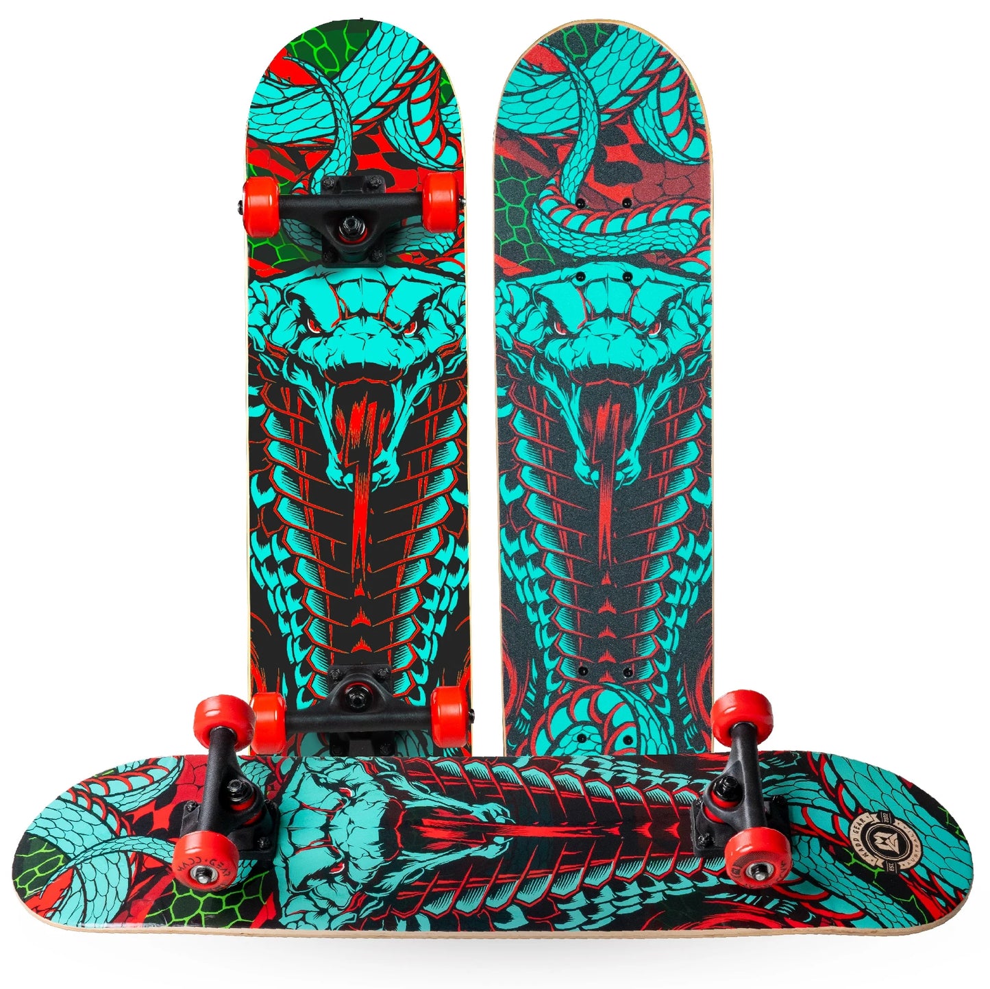 Beginner Skateboard for Kids and Teens – 31" Maple Deck – ABEC-5 Bearings – Easy to Ride – LTR